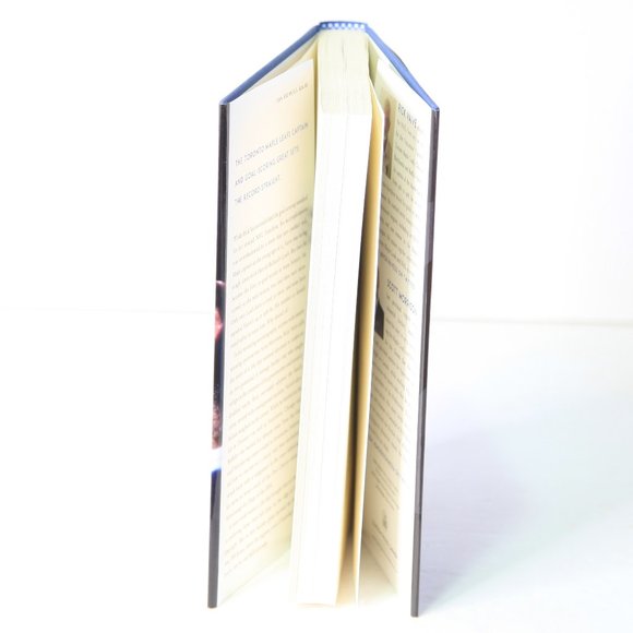 Catch 22: My Battles, in Hockey and Life - Toronto Maple Leafs Legend Rick Vaive - Picture 3 of 3